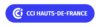 Logo CCI Hauts-de-france